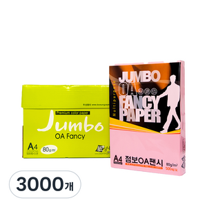 두성 종이 OA팬시페이퍼점보 80g, 3000개, A4