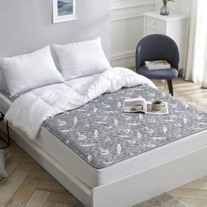 라헨느 드림캐쳐 워셔블 전기요 EB-2700, 패밀리(200 x 260 cm)