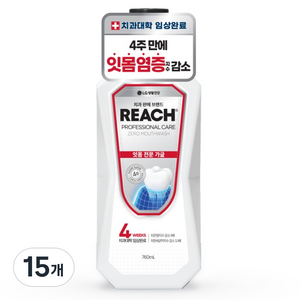 리치 프로페셔널 잇몸 전문 제로 구강청결제, 760ml, 15개