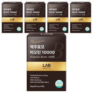 랩온랩 맥주효모 비오틴 10000, 60정, 5개