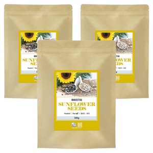 미국산 해바라기씨, 3개, 500g