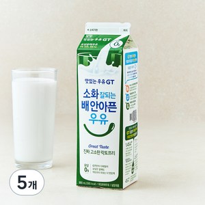 남양유업 맛있는우유GT 고소한 락토프리, 900ml, 5개