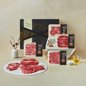 농협안심한우 1+등급 구이세트 900g (등심250g + 채끝 250g + 부채살 200g + 업진살200g) (냉장), 1세트, 250g + 250g + 200g + 200g 골드박스 특가