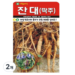 아람씨앗 잔대 씨앗 1000립, 2개