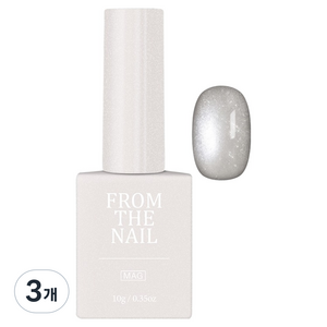프롬더네일 GLITTER MAGNET GEL 네일, 베이지(FG368), 10g, 3개