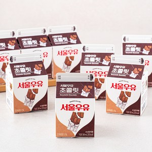 서울우유 초콜릿, 300ml, 8개