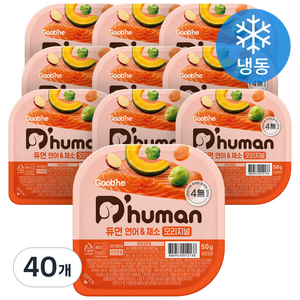 듀먼 전연령용 강아지 오리지널 화식사료, 연어+채소, 50g, 40개