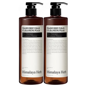 부케가르니 나드 딥클리어 클렌징폼, 500ml, 2개 골드박스 특가
