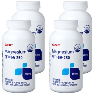 GNC 마그네슘 250, 120정, 4개