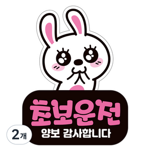 제제데코 자동차 탈부착 자석 고휘도 반사 초보운전 스티커 시트지 LC006, 혼합색상, 2개
