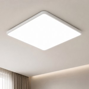 디앤케이 LED 시스템 방등 전등 60W DC타입 플리커프리, 주광색