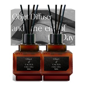 헤트라스 오브제 디퓨저, 선인장, 200ml, 2개
