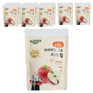 All바른농장 프리미엄 동결건조 사과 칩, 20g, 9개