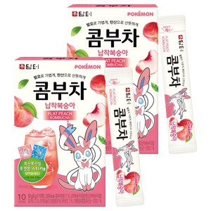 담터 포켓몬 납작복숭아 콤부차, 5g, 10개입, 2개