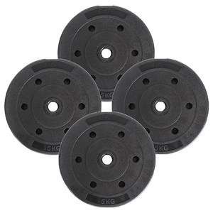 아리프 플렉스 바벨 원판, 5kg, 4개