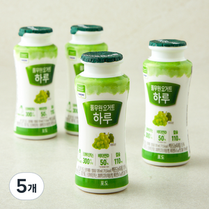 풀무원 다논 하루 요거트 포도, 120ml, 4개입, 5개