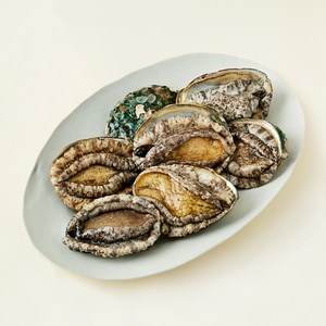 완도맘 산지직송 활전복 (냉장), 1kg 내외(왕특대, 7마리), 1개 골드박스 특가