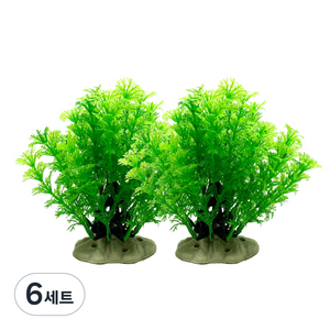 모비딕 그린 암브리아 조화 2p 세트, 6세트