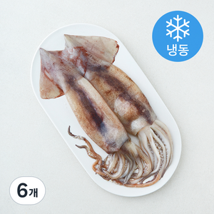 위드프레쉬 손질 통오징어 (냉동), 6개, 320g