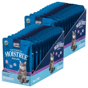 동원뉴트리플랜 고양이 모이스트루 주식파우치, 닭+참치, 80g, 24개