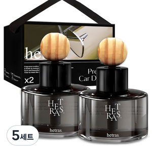 헤트라스 프리미엄 차량용 디퓨저 77ml 2p + 리본끈 선물 세트, 허그솝향, 5세트