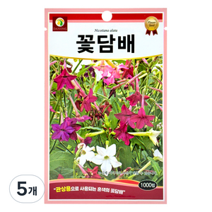 다농 꽃담배 씨앗 1000p, 5개