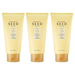 더페이스샵 망고씨드 실크보습 크리미 클렌징 폼, 300ml, 3개
