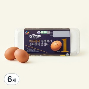 CJ프레시웨이 더건강한 자유방목 동물복지 무항생제 유정란, 6개, 10구