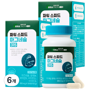 이너랩 파워 스피드 마그네슘 315, 120정, 6개