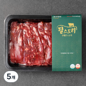 팜스토리 국내산 소고기 육전용 (냉장), 300g, 5개