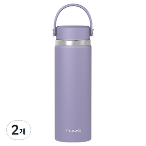 텀스 핸들 스윙 텀블러, 로얄퍼플, 600ml, 2개