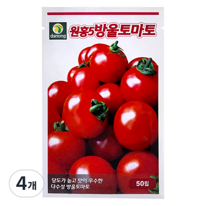 다농 원홍5호방울토마토 씨앗 50p, 4개