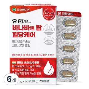유한메디카 바나바 엔 탑 혈당케어 48g, 60정, 6개