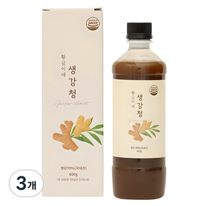 황금이네 생강청, 600g, 1개입, 3개