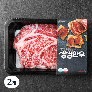 생생한우 1등급 숙성등심 구이용 (냉장), 200g, 2개