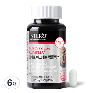 인테로 마그네슘 컴플렉스 영양제, 90정, 6개