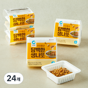 청정원 담백한 생나또, 48g, 24개, 1개입