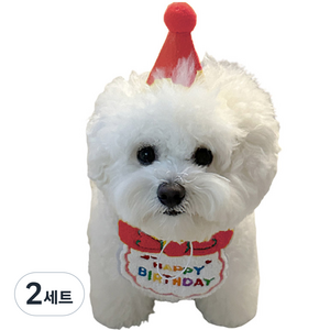 애완동물 생일 축하 스카프 + 모자 세트, 레드, 2세트