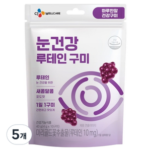 CJ웰케어 눈건강 루테인 구미 10p, 5개, 10정