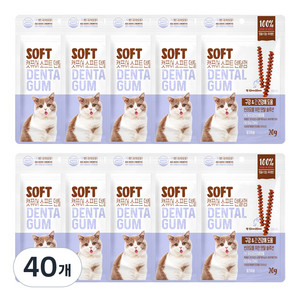 캣퓨어 고양이 소프트 덴탈껌, 20g, 40개, 구강 간건강에 도움