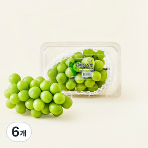 중화농협 상주 고당도 샤인머스캣, 500g, 6개