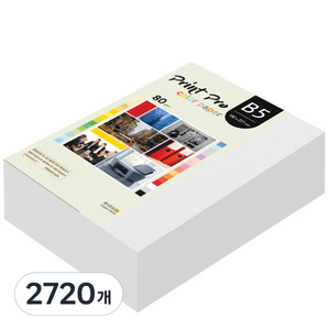 종이문화 프린트 프로 칼라복사지 No 30 스노우화이트 80g, B5, 2720개