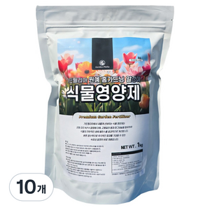 가든필리아 식물영양제 모든 화분 식물 알갱이 비료, 10개, 1kg