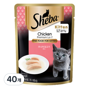 쉬바 키튼 고양이 간식 파우치, 닭, 70g, 40개