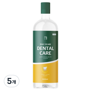 살림백서 하루세번 덴탈케어 구강 청결제, 5개, 1L