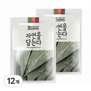 조은약초 프리미엄 비파잎 통, 150g, 1개입, 12개