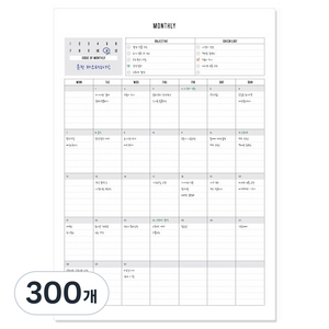 데얼스 스케쥴러 A4, 먼슬리, 300개