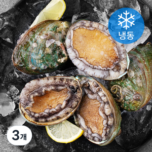 아라보감 갓잡아 얼린 국산 전복 5마리 (냉동), 350g(5마리), 3개