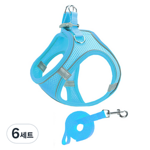 Pai 반려동물 굿타임 하네스세트, 블루, 6세트