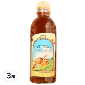 정원담 프리미엄 자연 야생화 순수 벌꿀, 3개, 1kg